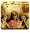 Mayflowers for ANNIE