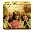 Mayflowers for ANDREA