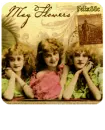 Mayflowers for MARIE