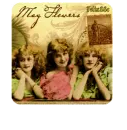 Mayflowers for SHONNA
