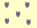 owl background