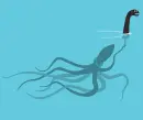 Octopus Bg.