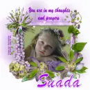 Suada