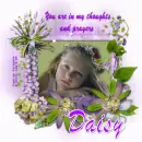 Daisy