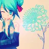 Miku