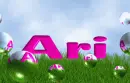 Ari