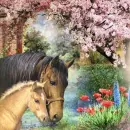 Mare and Colt - Horses