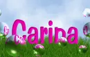 Carina