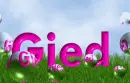 Gied