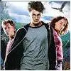 harry,ron,and hermione