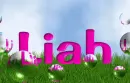 Liah