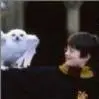Harry and Hedwig