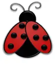 Little Lady Bug