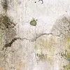 Grunge Texture