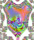 RAINBOW CHAMPAGNE