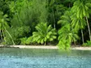 THE TROPICS