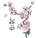 Sakura