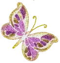â¤Butterflies for your soul â¤