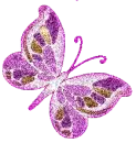 â¤ Butterflies for your soul â¤
