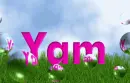 Yam