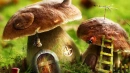 Lil' Mushroom House