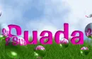 Suada