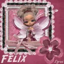 Felix