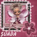 Suada