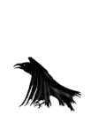 Crow
