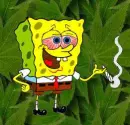 spongbob no weed