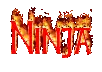 Ninja