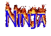 Ninja