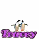 tracey