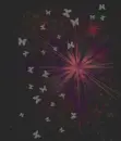 Butterfly Explosion