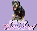 I Love My Rottweiler!