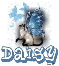 Daisy - fg