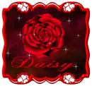 Daisy