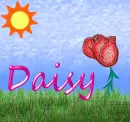 Daisy