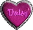 Daisy