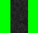 Black and Lime
