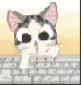 typing cat