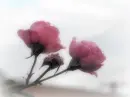 No One Can Know About This