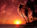evening