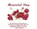 Poppies For Memorial Day