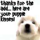 áƒ¦PuPPyáƒ¦KiSsEsáƒ¦