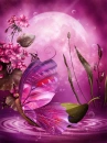 Geranium