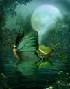 Butterfly boat