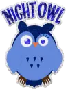 Night Owl