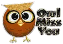Owl Miss You