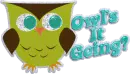 owls it going
